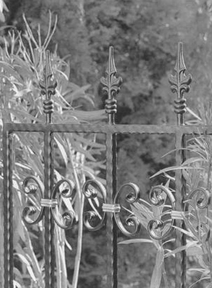 1374_15_16_17_18.jpg